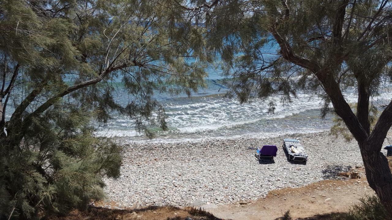 Flora'S Beach And Pool Villa In Syros Liaropá Exterior foto
